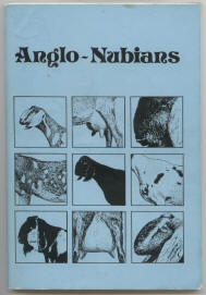 anglo-nubians